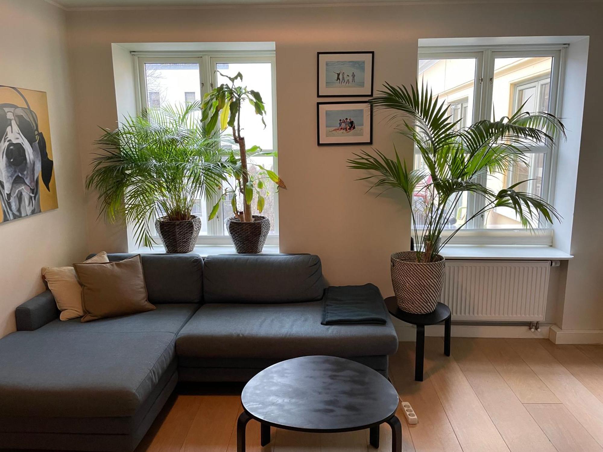Stroken Loftleilighet Midt I Oslo. Buitenkant foto